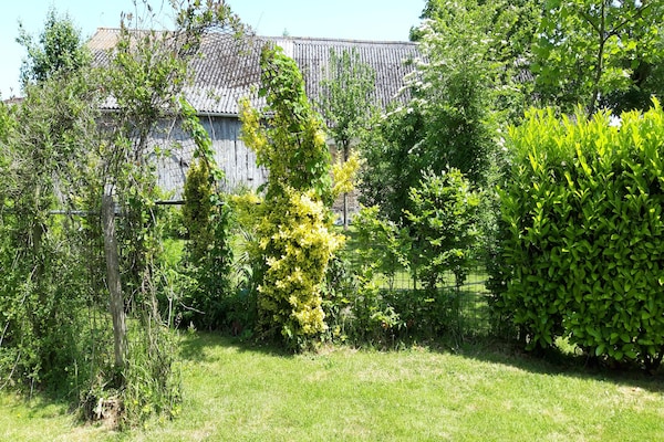 Foto van Vakantiehuis en stacaravan met ruime tuin - Vakantiehuis in Gouvets - ExteriorSummer
