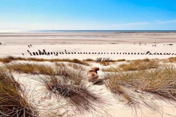 Foto van Comfortabele retraite aan zee - Vakantiehuis in Berck-Sur-Mer - AreaSummer20KM
