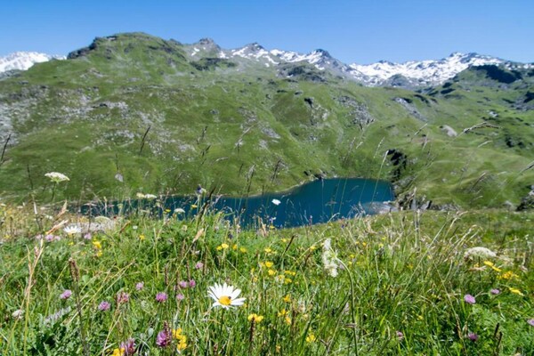 Foto van Bosrijk toevluchtsoord in de Alpen - Vakantiehuis in Val Thorens - AreaSummer20KM