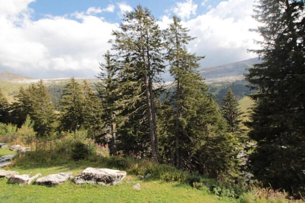Foto van Appartement in Flaine met Skilift - Vakantiehuis in Arâches-La-Frasse - AreaSummer5KM