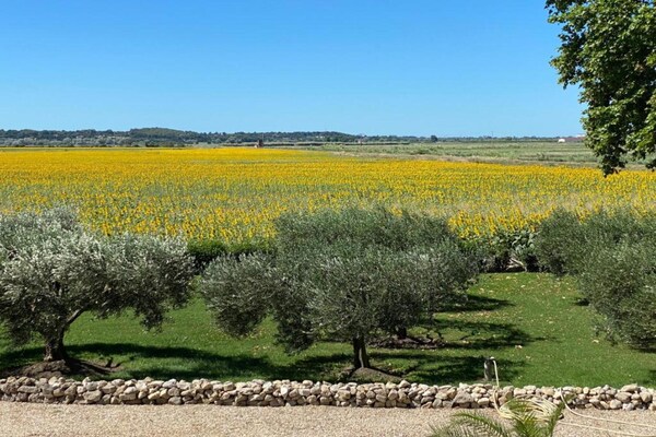 Foto van Provençaals huis in Seillans met zwembad - Vakantiehuis in Seillans - AreaSummer20KM
