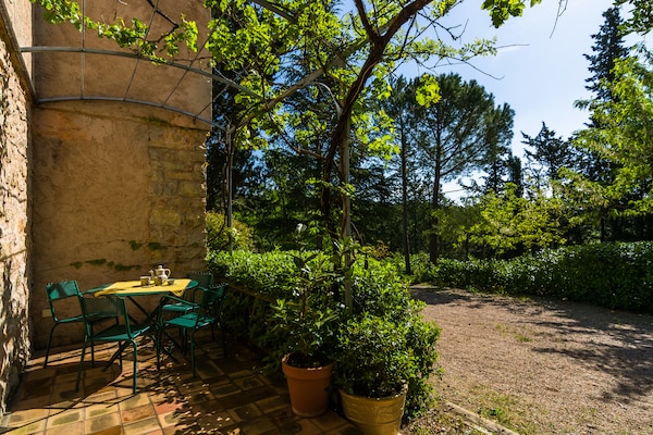 Foto van Provençaals huis in Seillans met zwembad - Vakantiehuis in Seillans - TerraceBalcony
