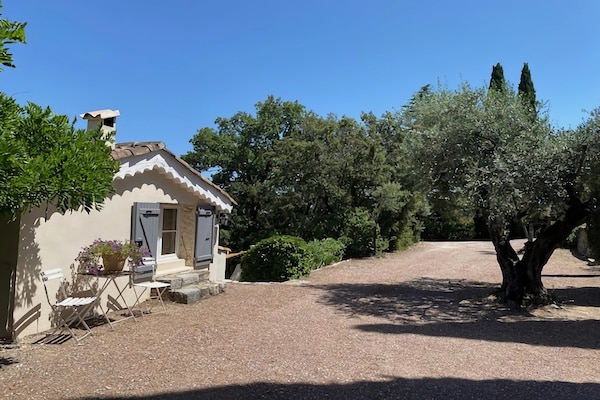 Foto van Vakantiehuis in Flayosc met zwembad en terras - Vakantiehuis in Flayosc - ExteriorSummer