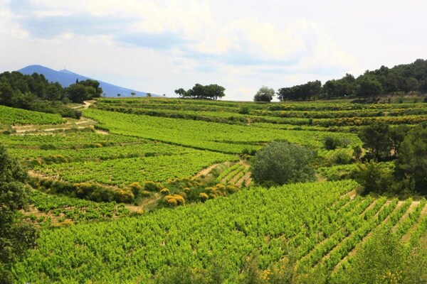 Foto van Villa in Vaison bij Romeinse ruïnes & zwembad - Vakantiehuis in Vaison-la-Romaine - AreaSummer5KM