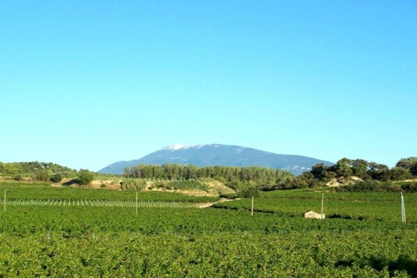 Foto van Villa in Vaison bij Romeinse ruïnes & zwembad - Vakantiehuis in Vaison-la-Romaine - AreaSummer5KM