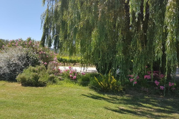 Foto van Villa in Vaison bij Romeinse ruïnes & zwembad - Vakantiehuis in Vaison-la-Romaine - AreaSummer20KM