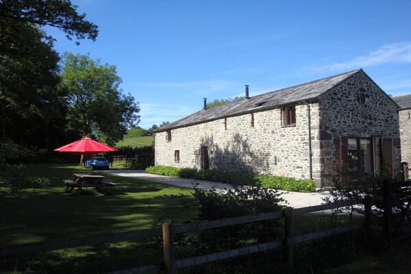 Foto van Vakantiehuis in Tavistock bij Forellenmeren - Vakantiehuis in Tavistock - ExteriorSummer