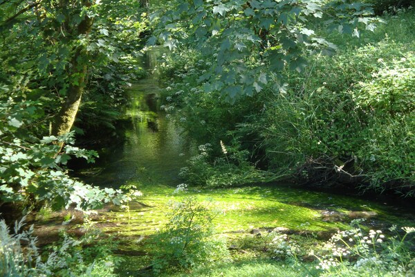 Foto van Vakantiehuis in Tavistock bij Forellenmeren - Vakantiehuis in Tavistock - GardenSummer