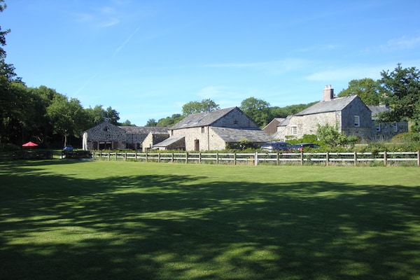 Foto van Vakantiehuis in Tavistock bij Forellenmeren - Vakantiehuis in Tavistock - GardenWinter