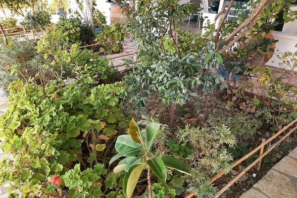 Foto van Mooi appartement in Mpenitses met gedeeld zwembad - Vakantiehuis in Mpenitses - Ambiance