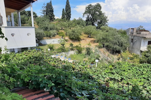 Foto van Geweldig appartement in Mpenitses met terras - Vakantiehuis in Mpenitses - ViewSummer