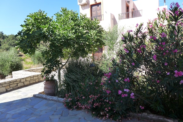 Foto van Villa in Axos met zwembad bij Panormo - Vakantiehuis in Axos - Rethymno - ExteriorSummer