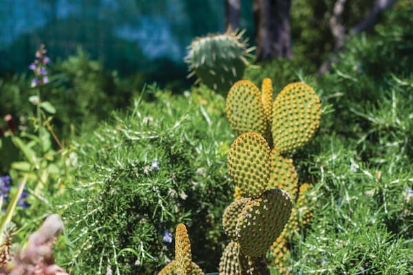 Foto van Vrijstaand vakantiehuis in Dalmatië met privétuin - GardenSummer