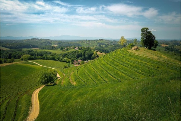 Foto van Vakantiehuis Dramalj met zwembad bij zee - Vakantiehuis in Dramalj - AreaSummer20KM