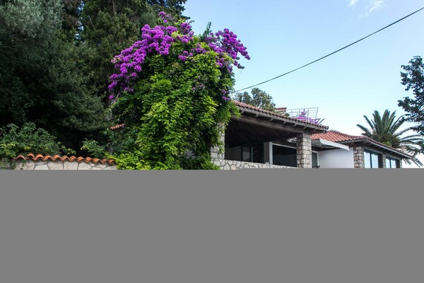 Foto van Villa Mirjana - Standard Studio Apartment with Terrace and Sea View (Lavanda) - Outdoor