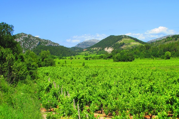 Foto van Holiday Home Stari Zoganj - Two Bedroom Holiday Home with Terrace and Swimming Pool - View