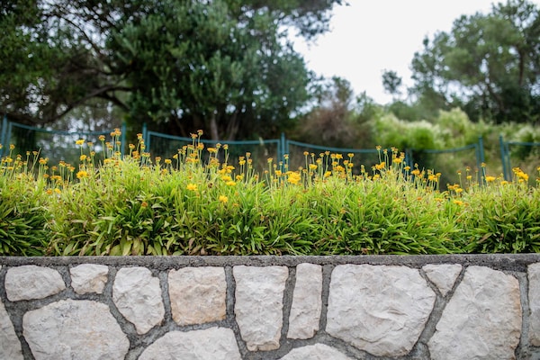 Foto van Guest House Villa Anggela - Two Bedroom Apartment with Balcony and Sea View - Outdoor