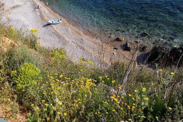 Foto van Appartement aan de kust in Vis vlakbij de zee - Vakantiehuis in Vis - AreaSummer5KM