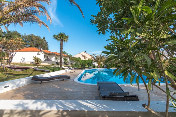 Foto van Luxe vakantiehuis in Bibinje vlakbij zee - Vakantiehuis in Bibinje - ExteriorSummer