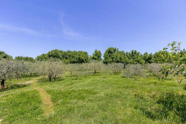 Foto van Appartement in Valbandon bij Strand & Fažana - Vakantiehuis in Fažana - AreaSummer5KM