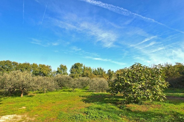 Foto van Appartement in Valbandon bij Strand & Fažana - Vakantiehuis in Fažana - AreaSummer5KM