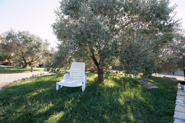 Foto van Appartement in Valbandon bij Strand & Fažana - Vakantiehuis in Fažana - GardenSummer