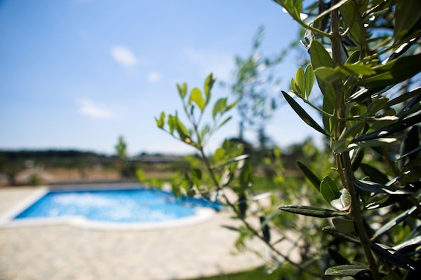 Foto van Appartement in Valbandon bij Strand & Fažana - Vakantiehuis in Fažana - Ambiance