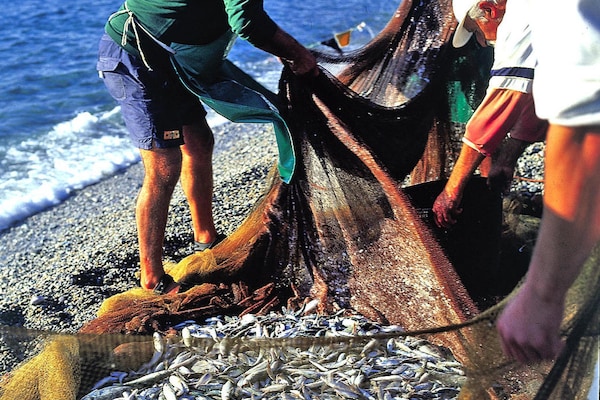 Foto van Appartement in Pietra Ligure met tuin - Vakantiehuis in Pietra Ligure - AreaSummer5KM