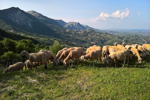Foto van Spotlight thuis van Corvara - Vakantiehuis in Corvara - ViewSummer