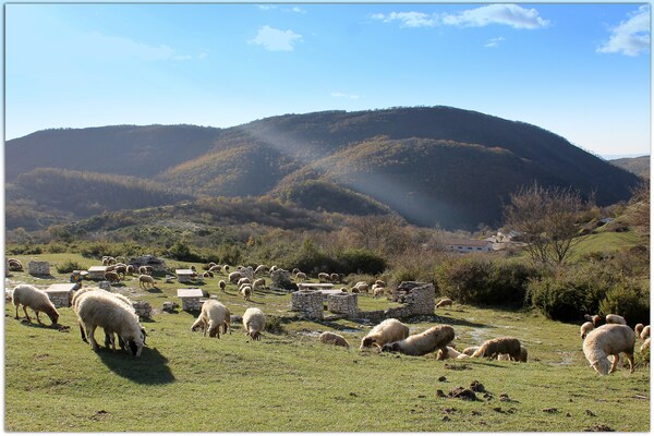 Foto van Vakantiehuis in Sabina met zoutwaterzwembad - Vakantiehuis in Selci - AreaSummer20KM