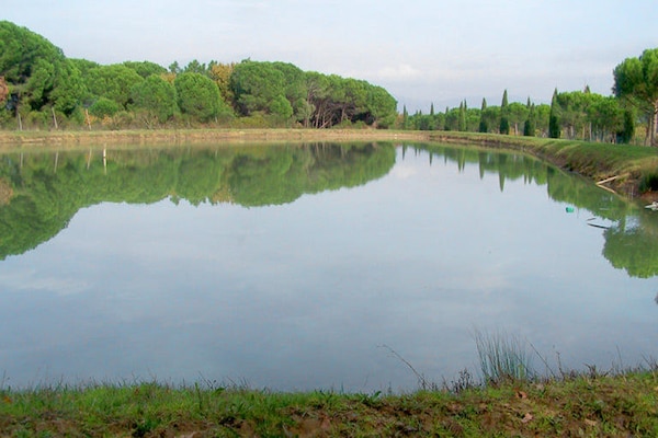 Foto van Appartement bij Meer van Trasimeno - Vakantiehuis in Castiglione del Lago - Facilities