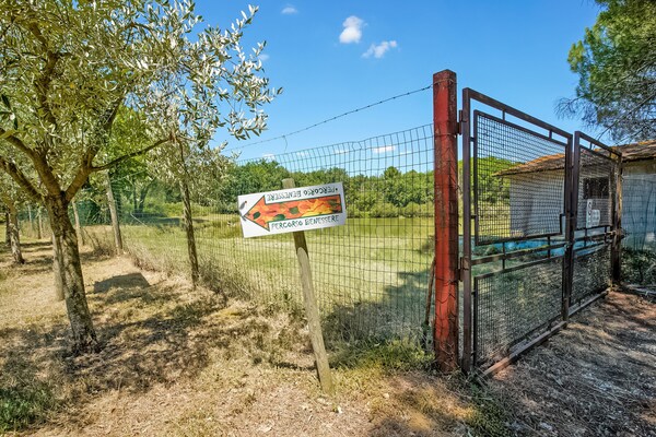 Foto van Appartement bij Meer van Trasimeno - Vakantiehuis in Castiglione del Lago - Facilities
