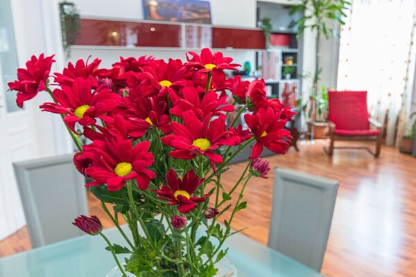 Foto van Appartement in Turijn met parkeerplaats - Vakantiehuis in Torino - Untagged