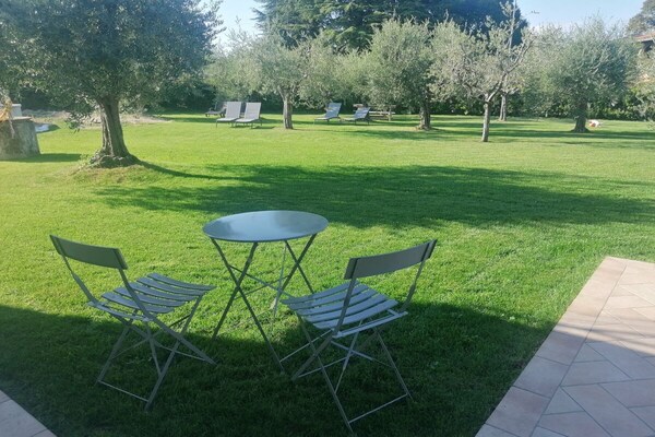 Foto van Zonnebloem Appartement - Vakantiehuis in San Felice del Benaco - Untagged