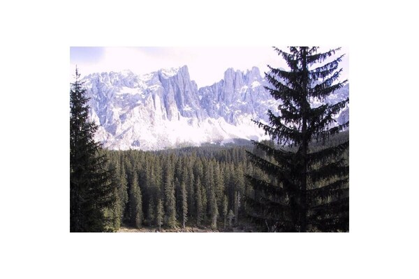 Foto van Chalet Zeller 1 - Vakantiehuis in Welschnofen-Karersee - Untagged