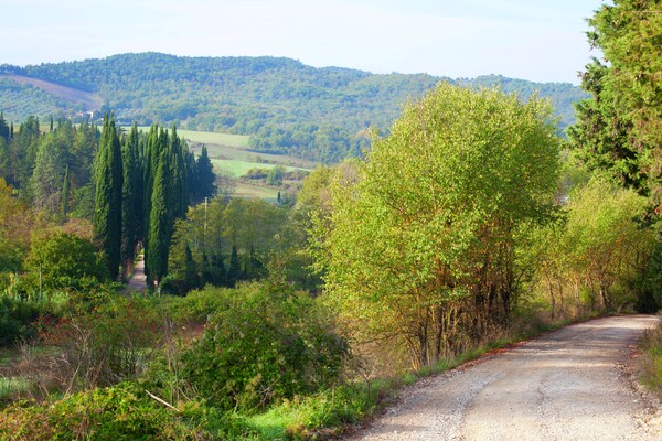 Foto van Toscaanse charme in Greve - Vakantiehuis in Greve in Chianti - ViewSummer