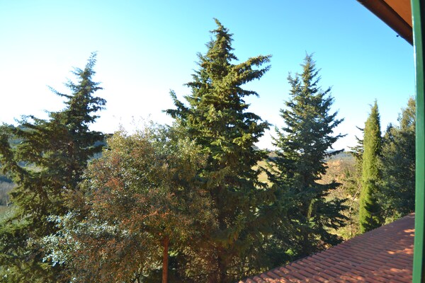 Foto van Uitje te midden van wijngaarden - Vakantiehuis in Montespertoli - ViewSummer