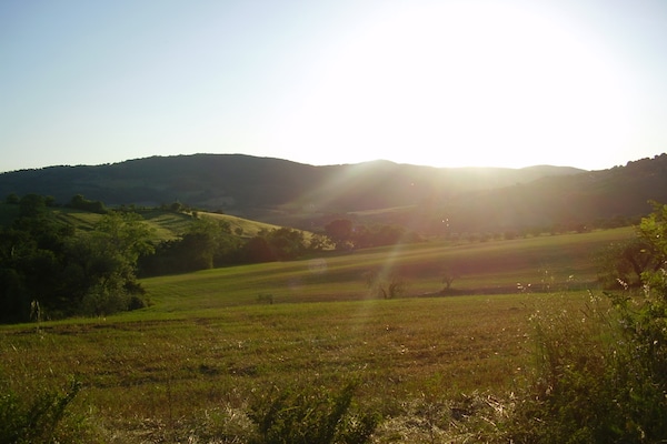 Foto van Uitje te midden van wijngaarden - Vakantiehuis in Montespertoli - AreaSummer20KM