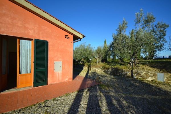 Foto van Uitje te midden van wijngaarden - Vakantiehuis in Montespertoli - ExteriorSummer