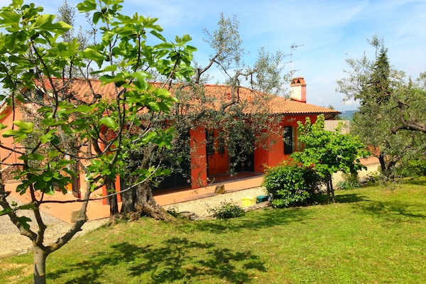 Foto van Uitje te midden van wijngaarden - Vakantiehuis in Montespertoli - ExteriorSummer