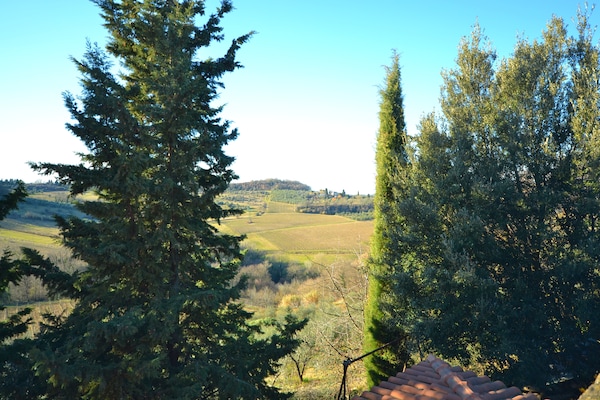 Foto van Uitje te midden van wijngaarden - Vakantiehuis in Montespertoli - ViewSummer