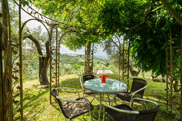 Foto van Vakantiehuis met zwembad - Vakantiehuis in Vinci - Florence - GardenSummer