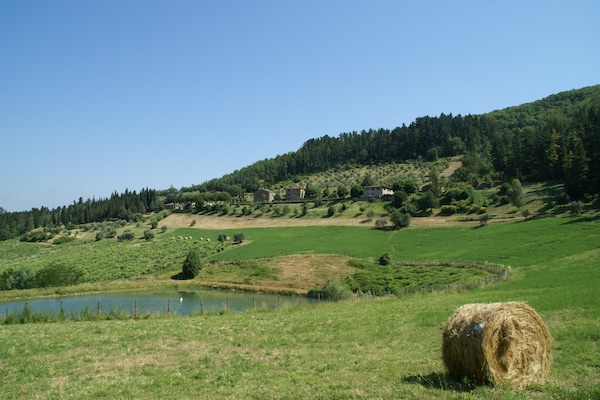 Foto van Vakantiehuis in Dicomano (FI) - Vakantiehuis in Dicomano (fi) - AreaSummer1KM
