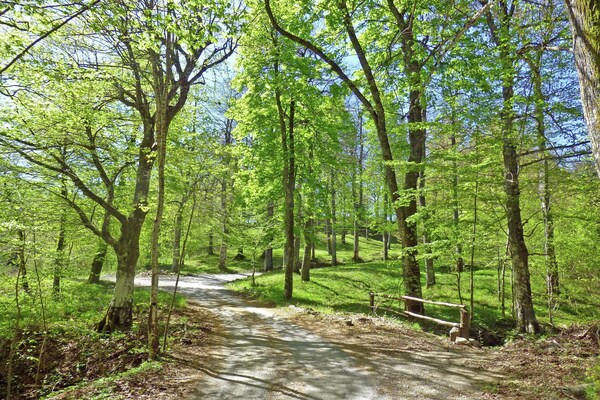 Foto van Villa in Pistoia met Zwembad en Uitzicht - Vakantiehuis in Pistoia - AreaSummer5KM