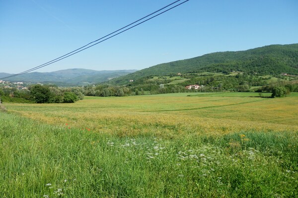 Foto van Boerderij met zwembad, Ortignano - Vakantiehuis in Ortignano - ViewSummer