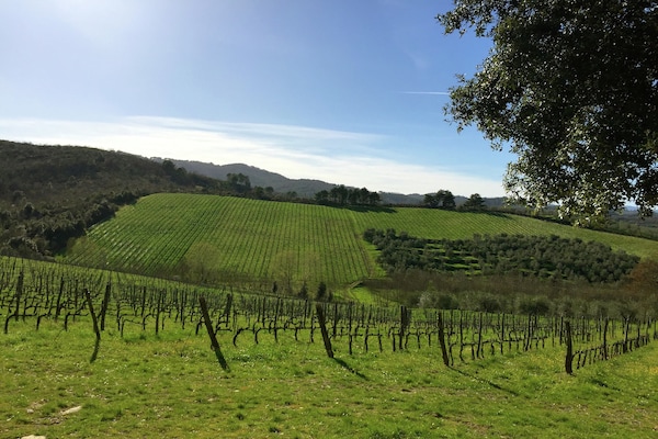 Foto van Boerderij in Bucine met zwembad - Vakantiehuis in Bucine - AreaSummer1KM