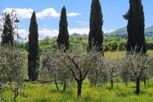 Foto van Boerderij in Bucine met zwembad - Vakantiehuis in Bucine - AreaSummer20KM