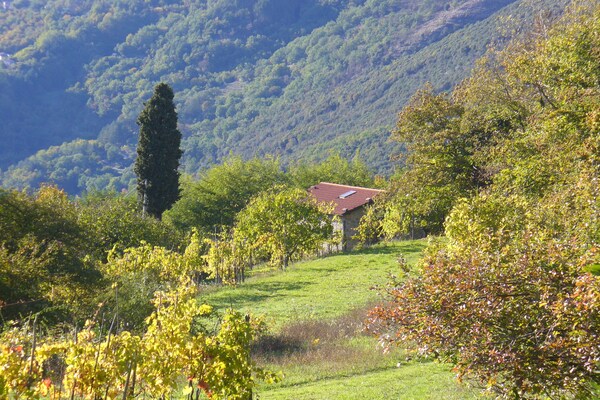 Foto van Huisje in Casoli bij skigebieden - Vakantiehuis in Bagni di Lucca - GardenSummer