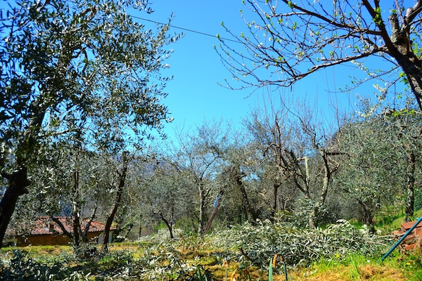 Foto van Vakantiehuis in Lucca met Zwembad en Uitzicht - Vakantiehuis in Borgo A Mozzano - AreaSummer5KM