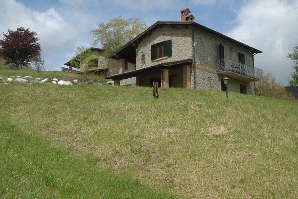 Foto van Vakantiehuis met zwembad in Camporgiano - Vakantiehuis in Camporgiano-LU - ExteriorSummer